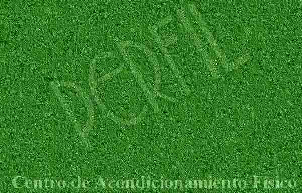 Lo estamos llevando a PERFIL